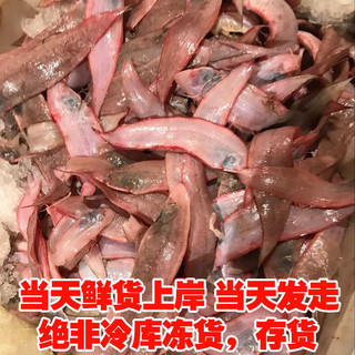 森图鲜【现捕现发】新鲜龙利鱼小踏板鱼小舌头鱼鳎目鱼海捕牛舌鱼 【当天鲜货】 小舌头鱼 【5斤装】现捕现发