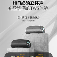 TWS 德国柏林之声K歌蓝牙音箱户外低音炮高音质高端家用发烧HIFI音响