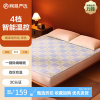 网易严选 电热毯抗菌双人电褥子双温双控除螨除湿自动断电家用电暖毯子 【双区控温】印花绿色 150*80cm