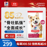 Hill's 希尔思 Hill‘s狗粮 希尔斯成犬狗粮小颗粒均衡全价粮 进口犬粮15磅 通用犬型 小颗粒成犬粮15磅/约6.8kg