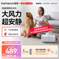 Homerun 霍曼 宠物吹水机 狗狗大功率电吹风机大型犬洗澡吹毛器猫咪电动吹毛器