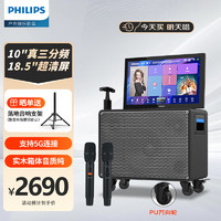 PHILIPS 飞利浦 SD239T 音响套装户外卡拉ok功放一体机家用蓝牙音箱