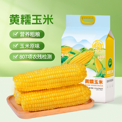 世际德力 新鲜黄糯玉米真空 非即食低脂粗粮 240g*8根