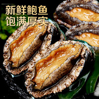 88VIP：鲜驰 山东长岛 鲜活鲍鱼 9-12只/500g