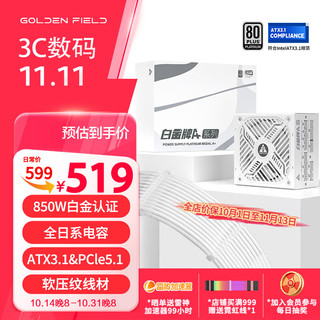 金河田 额定850W白金认证 雪装 ATX3.0电脑电源 全日系电容/PCIE5.0/支持4080显卡/JD版