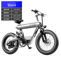 FTN T20 电动沙滩车 TDN02Z