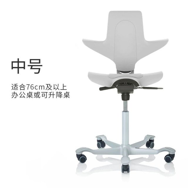 Flokk HAG Puls 骑马椅 电脑椅 办公椅 迷雾灰 中号