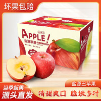 京觅 四川盐源丑苹果 16粒 70-80mm 生鲜水果 源头直发 