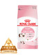 ROYAL CANIN 皇家 幼猫猫粮 幼猫奶糕 K36 通用粮 4-12月 2KG