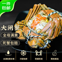 农锦鲜 太湖水域大闸蟹 全母8只 1.9-2.2两/只 生态养殖螃蟹源头直发包邮