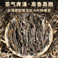 勐洛小寨 2024年云南古树普洱茶生茶冰岛 老班章 薄荷塘 昔归生普散茶 老班章古树生普散茶250克装