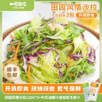 一号农场 开袋即食田园风情减脂混合蔬菜沙拉包凉拌菜轻食代餐色拉生菜 无酱汁 120g*3袋（开袋即食）