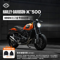 HARLEY-DAVIDSON 哈雷戴维森 哈雷X™ 500 摩托车骑行双缸水冷500cc 订金