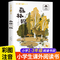 国际获奖小说20册注音版全套10册 JST 小学生一年级阅读课外书必读上册二三年级课外书籍大奖