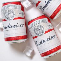 Budweiser 百威 啤酒 经典醇正红罐拉格 330ml*24听