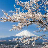 含税+行李！石家庄直飞往返东京8天机票