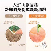 江小傲 鲜肉全价猫粮试吃装50g幼猫成猫无谷全期营养主粮