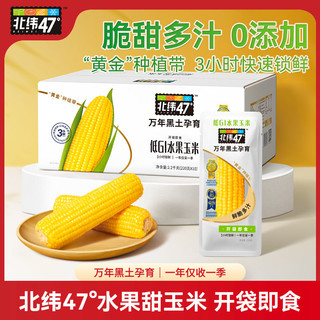 北纬47° 北纬47度水果甜玉米棒玉米粒东北黑土非转基因即食低脂粗粮