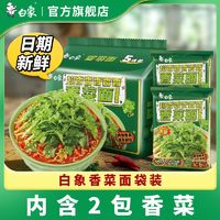 BAIXIANG 白象 方便面香菜面10袋整箱懒人学生宿舍宵夜速食泡面