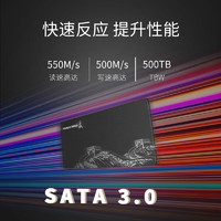 Great Wall 长城 SSD固态硬盘 SATA3.0接口 台式机笔记本电脑T30 SATA3.0固态硬盘