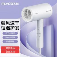 FLYCO 飞科 电吹风机家用不伤发冷热风宿舍学生用速干便携可折叠风筒