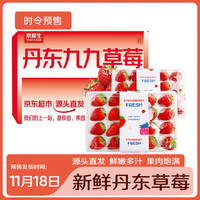 京鲜生 丹东99红颜草莓两盒装500g 新鲜水果 源头直发