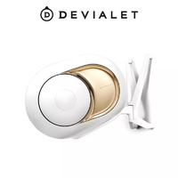 DEVIALET 帝瓦雷 Gecko Phantom I专属背挂式安装器（不含音箱） 白色（大） 墙挂 白色