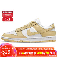 NIKE 耐克 DUNK LOW RETRO 男款运动鞋 DV0833-100