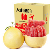 食九月 土八鲜 福建琯溪蜜柚 红心柚子 7.5-8斤果王（2枚装）