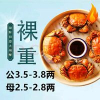 HUXIANYANGCHENG 湖鲜阳澄 大闸蟹 去绳足重 公3.5-3.8两母2.5-2.8两5对10只鲜活现货螃蟹礼盒装