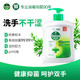 Dettol 滴露 经典松木免洗抑菌洗手液 500ml