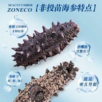 ZONECO 獐子岛 有机淡干海参 78-100头 共258g