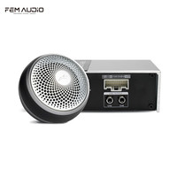 FEM AUDIO 非名 F.E.M AUDIO）非名汽车音响改装 C25中音中置喇叭+非名480.6cDSP功放环绕声套餐