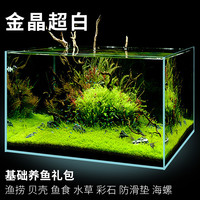 俱馨 鱼缸造景客厅小型玻璃缸2024新款生态鱼缸金晶超白鱼缸30/40方缸