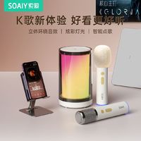 百亿补贴：SOAIY 索爱 K35蓝牙音响话筒一体家用无线K歌麦克风户外唱歌小型家庭ktv