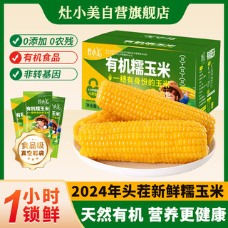 灶小美 有机玉米 黄甜粘玉米棒低脂零食粗粮代餐源产内蒙 8穗/箱15-17cm 8穗礼盒装