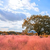 往返机票只要几百块，济州岛一站式度假就选它！韩国济州岛3天2晚度假套餐（可选君悦/神话蓝鼎酒店）