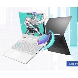 天选4 15.6英寸游戏本（i7-13620H、16GB、512GB、RTX4060）