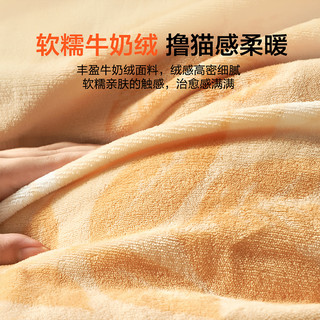 88VIP：BLISS 百丽丝 SH542J01 牛奶绒被套 150cm×210cm