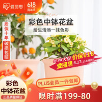 爱丽思花盆塑料加厚家用阳台盆景多肉盆栽盆 粉色口径15.6cm2个装