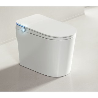 YING Bathroom Products 鹰卫浴 OST61010D 全自动家用智能