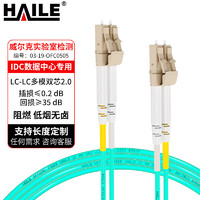 HAILE 海乐 万兆多模光纤跳线LC-LC低烟无卤双芯跳纤OM3-300UPC接头50/125尾纤2米HJ-2LC-LC-MT2