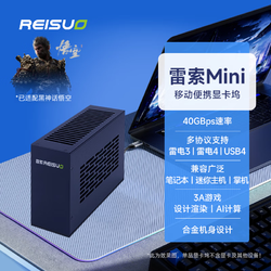 REISUO 雷索 显卡坞+RTX3060 12G(带电源)