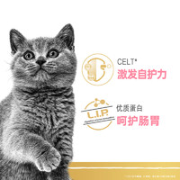 ROYAL CANIN 皇家 BSK38英短专用幼猫粮营养发腮蓝猫奶糕奶猫粮2kg宠物