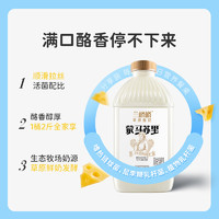 88VIP：兰格格 草原酸奶蒙马苏里乳酪低温酸牛奶1kg*2瓶组合装 顺丰包邮