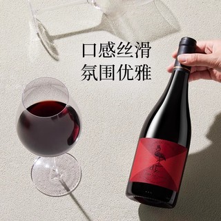 88VIP：lady penguin 醉鹅娘招牌红鸟黑皮诺智利原瓶进口干红葡萄酒750ml*6支箱装