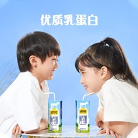 认养一头牛 纯牛奶 250ml*20盒