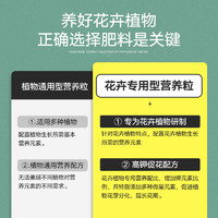 88VIP：STANLEY 史丹利 金枝玉叶专用肥复合肥料花肥家用盆栽通用有机缓释颗粒型花卉化肥