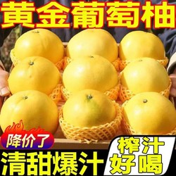 others 其他 福建平和黄金葡萄柚子新鲜水果包邮当季黄心蜜柚整箱甜西柚爆汁