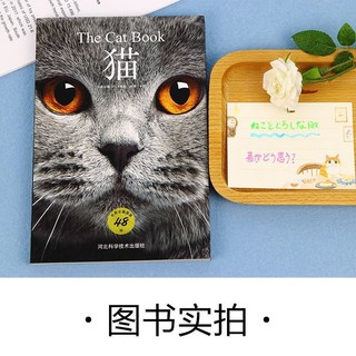 图书《猫(精选48种世界名猫,高清美图,揭示纯种猫鲜为人知的历史,让爱猫的人更懂猫)》